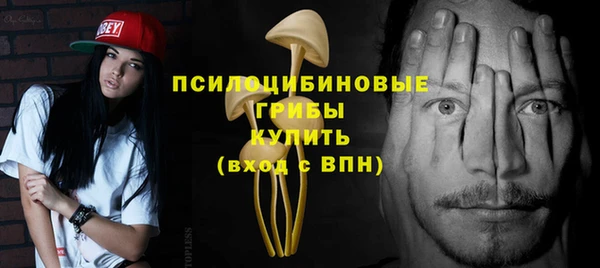 соль курить ск Богородицк