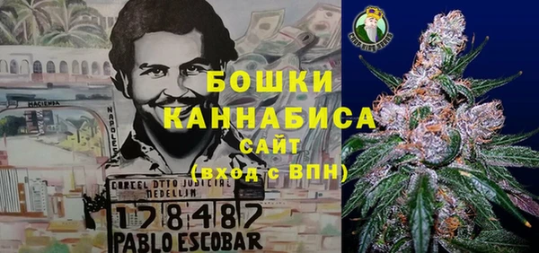 дурь Богданович