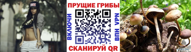 KRAKEN рабочий сайт  Можайск  Галлюциногенные грибы мицелий  купить  цена 